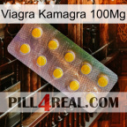 Viagra Kamagra 100Mg new11